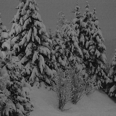 Horská chata Chalet Portes Du Soleil *